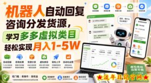 机器人自动回复咨询分发货源,学习多多虚拟类目轻松实现月入1-5W【揭秘】-流年日记