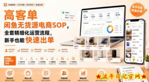 高客单闲鱼无货源电商SOP，全套精细化运营流程，新手也能快速出单-流年日记