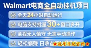 Walmart（沃尔玛）超市浏览项目，单账号日收益20+（可多开） 单电脑日收益可达1k+【揭秘】-流年日记