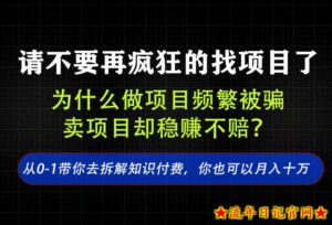 找项目？别傻了！卖项目才是真的一本万利！看完你全都懂了【揭秘】-流年日记