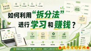 付费文章：如何利用“拆分法”进行学习和賺钱？-流年日记