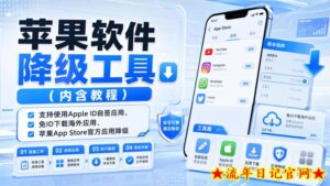 苹果软件降级工具(内含教程),支持使用Apple ID自签应用、免ID下载海外应用、苹果App Store官方应用降级等-流年日记