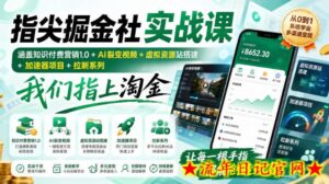 指尖掘金社实战课，涵盖知识付费营销1.0+AI裂变视频+虚拟资源站搭建+加速器项目+拉新系列，我们指上淘金！-流年日记