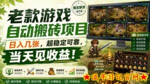 老款游戏自动搬砖项目，日入几张，超稳定可靠，当天见收益！【揭秘】-流年日记