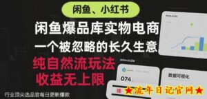 闲鱼小红书实物电商，纯自然流玩法，一个被忽略的长久生意，收益无上限【揭秘】-流年日记