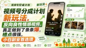 视频号分成计划新玩法,反向良性情感视频,真正做到了条条爆,槽点很强,小白副业首选项-流年日记