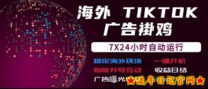 海外TikTok挂G流量变现,7X24自动运行,广告曝光收益,收益日结【揭秘】-流年日记