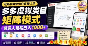 无复杂运营小白直接上手，多多虚拟类目矩阵模式，普通人轻松日入1000+【揭秘】-流年日记