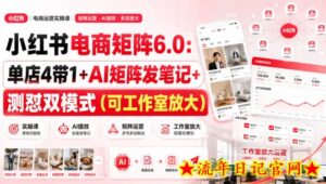小红书电商矩阵6.0：单店4带1+AI矩阵发笔记+测怼双模式（可工作室放大）-流年日记
