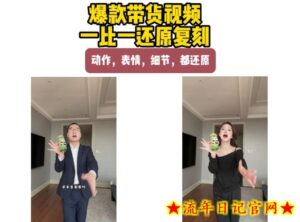 AI带货视频复刻,一比一还原加二创,动作,表情,细节,都还原,新手也能直接套用-流年日记