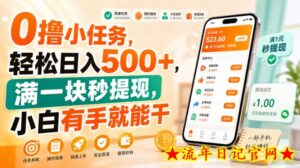 0撸小任务，轻松日入500+，满一块秒提现，小白有手就能干【揭秘】-流年日记
