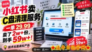 小红书卖C盘清理服务，一单29.99，卖了2w+份，技术也是虚拟产品-流年日记