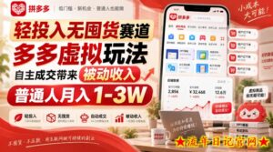 轻投入无囤货赛道,多多虚拟玩法自主成交带来被动收入,普通人月入1-3W-流年日记