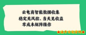 云电商智能数据收集，稳定无风控，当天做当天见收益，零成本矩阵操作【揭秘】-流年日记