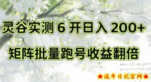 一台电脑就能做!灵谷实测6开日入200+,矩阵批量跑号收益翻倍【揭秘】-流年日记