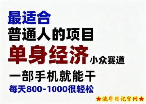 身经济小众赛道，一部手机就能干，每天搞个800-1000很轻松，最适合普通人的项目【揭秘】-流年日记