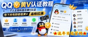 QQ黄V认证教程，个人主资料显示黄V认证，号下所有群都是黄V，逼格拉满-流年日记