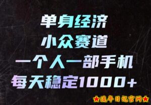 单身经济小众赛道,一个人一部手机,每天稳定1000+,长期可持续的赛道【揭秘】-流年日记