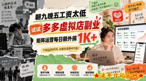 朝九晚五工资太低，试试多多虚拟店副业，矩阵运营每日额外搞1K+【揭秘】-流年日记