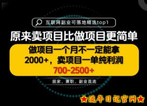 一单利润700-2.5K+,为什么我们要卖项目而不是做项目,我们普通人应该怎样开始?【揭秘】-流年日记