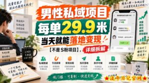 男性私域项目，每单29.9米，当天就能落地变现【不是S粉项目】，详细拆解-流年日记