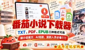番茄小说下载器，TXT、PDF、EPUB三种格式可选，做小说推文、AI短剧、漫剧人员必备！！！-流年日记