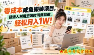 零成本咸鱼搬砖项目，普通人利用空闲时间就能做，轻松月入1W！【揭秘】-流年日记