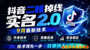 抖音二核掉线十名2.0，9月最新技术，外来技术，效果自测-流年日记