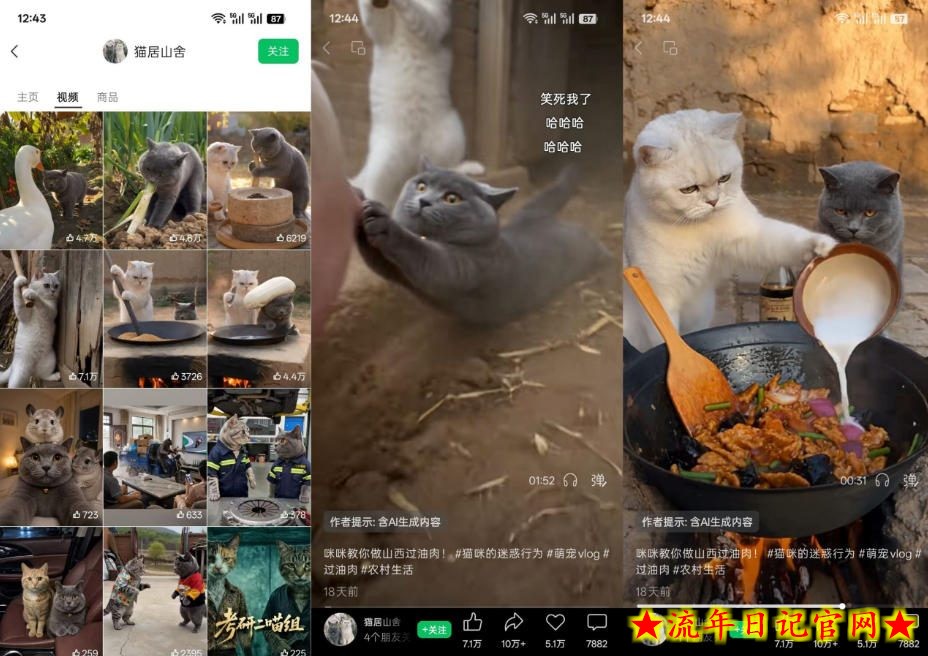 猫咪慢生活短视频教学,AI搞笑萌宠赛道,视频号分成+精选独家+伙伴计划+商单收徒等多种变现方式-流年日记