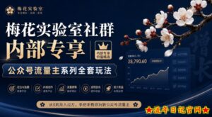梅花实验室社群内部专享-公众号流量主系列全套玩法-流年日记