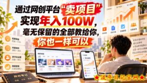 通过网创平台“卖项目”实现年入100W，毫无保留的全部教给你，你也一样可以！【揭秘】-流年日记