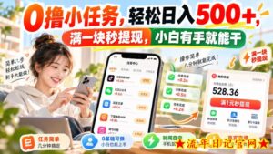 0撸小任务,轻松日入500+,满一块秒提现,小白有手就能干,动动手指就能賺-流年日记