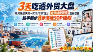 3天吃透外贸大盘,外贸底层认知+B2B/B2C区分、海外抖音带货、选品获客,新手起步8步落地SOP课程-流年日记
