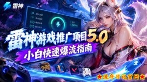 雷神游戏推广项目5.0-小白快速爆流指南,最的好一天收益就1K+-流年日记