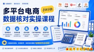 多平台电商数据核对实操课程，手把手教账单核对、账务处理、成本结转、个体户税务申报与发票开具-流年日记