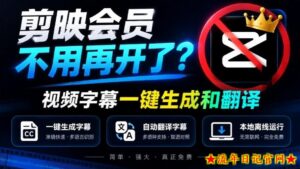 剪映会员不用再开了？视频字幕一键生成加翻译，本地离线运行，完全免费，超快速高精度，字幕大师-流年日记