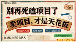 做项目不如卖项目，做知识付费自己当老板，普通人死磕项目賺钱，聪明人贩卖项目认知賺钱【揭秘】-流年日记