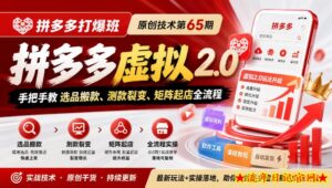 《拼多多打爆班》原创技术第65期，拼多多虚拟2.0，手把手教选品搬款、测款裂变、矩阵起店全流程-流年日记