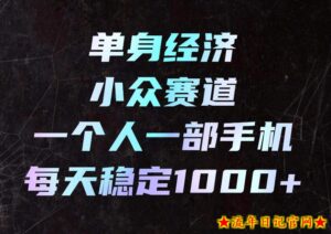 单身经济小众赛道,一个人一部手机,每天稳定1000+,利用下班碎片时间即可【揭秘】-流年日记