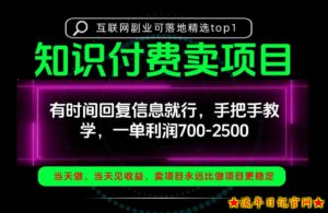 一单利润700-2.5k，有时间回信息就行，手把手带你做知识付费卖项目！一天稳定2-3单！【揭秘】-流年日记