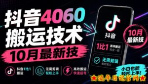 抖音4060搬运技术，10月最新技，抖音1比1搬运，无需剪辑-流年日记
