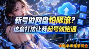 新号做网盘怕限流?这套打法让我起号就跑通,网盘项目推广的8.0版本教学-流年日记
