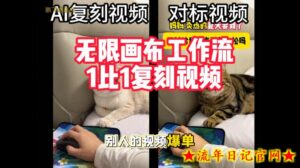 宠物带货视频复刻,无限画布工作流1比1,不用拍摄、不用布景、不用真人出镜,几分钟就能做出一条专业带货视频-流年日记