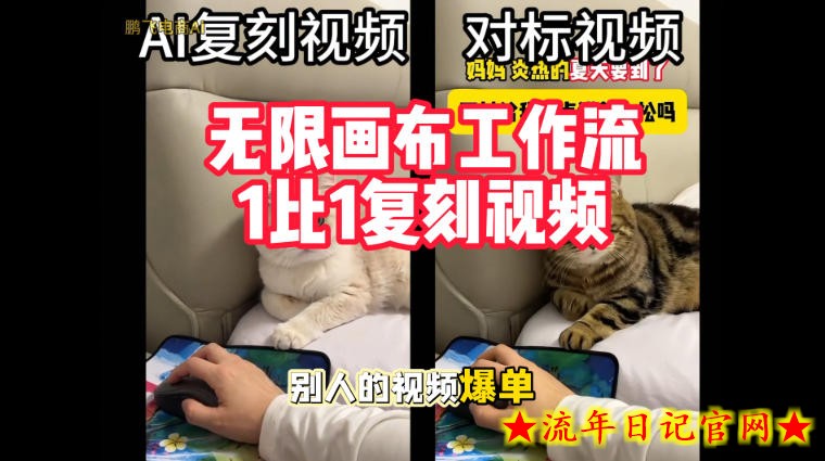 宠物带货视频复刻,无限画布工作流1比1,不用拍摄、不用布景、不用真人出镜,几分钟就能做出一条专业带货视频-流年日记