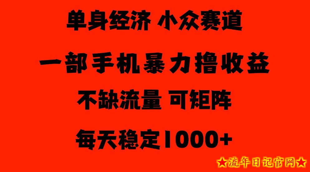 26年暴力单身经济，稳定日入500-1k，不缺流量，流量极大，冷门小众赛道，门槛低小白轻松上手【揭秘】-流年日记