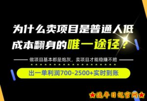 普通人如何靠互联网賺取自己的第一桶金！全类目实操型教学，看完你全都懂了！【揭秘】-流年日记