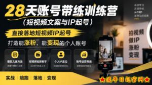 28天账号带练训练营（短视频文案与IP起号），直接落地短视频IP起号，打造能涨粉、能变现的个人账号-流年日记