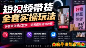 短视频带货全套实操玩法，多套带货模式教学，混剪视频落地教程-流年日记