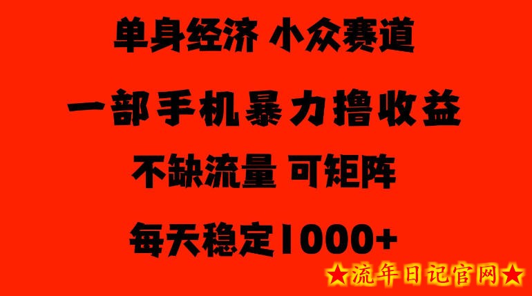 26年暴力单身经济,稳定日入500-1k,不缺流量,流量极大,冷门小众赛道,门槛低小白轻松上手【揭秘】-流年日记