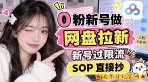 0粉新号做网盘拉新，新号过限流，SOP直接抄-流年日记